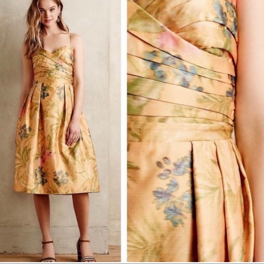 James Coviello Floral Botanical Dress